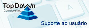 Top Down Consultoria.
